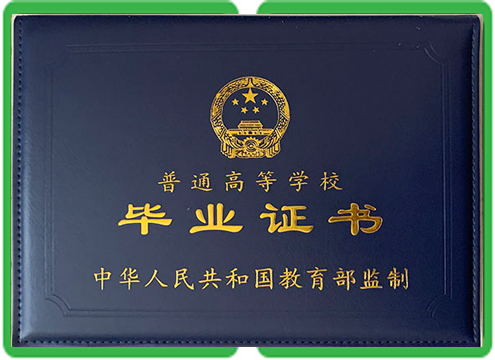 大学毕业证定制服务